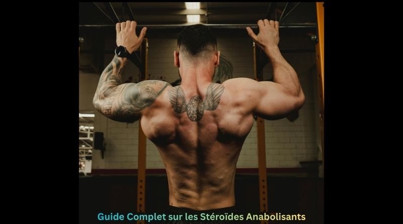 Guide Complet sur les Stéroïdes Anabolisants